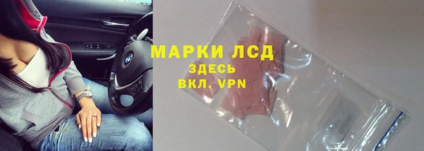 трава Новокубанск