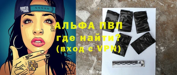 spice Новодвинск