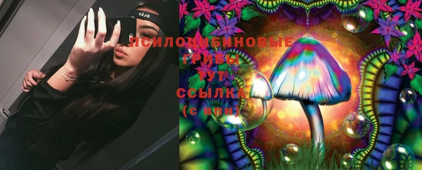 spice Новодвинск