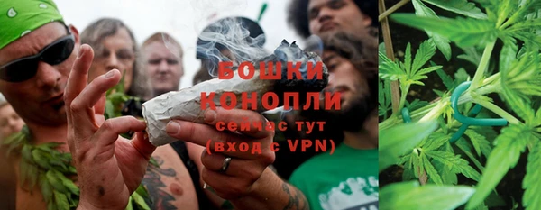 spice Новодвинск