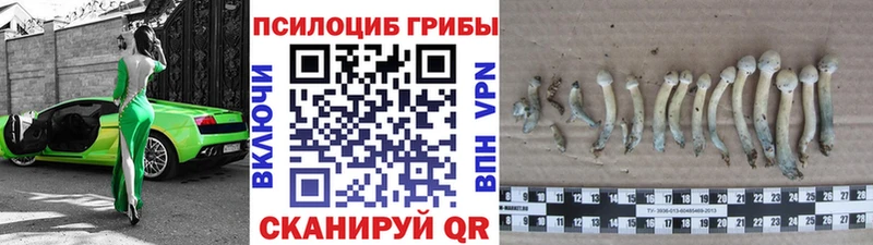 Галлюциногенные грибы Cubensis  цены наркотик  Опочка 